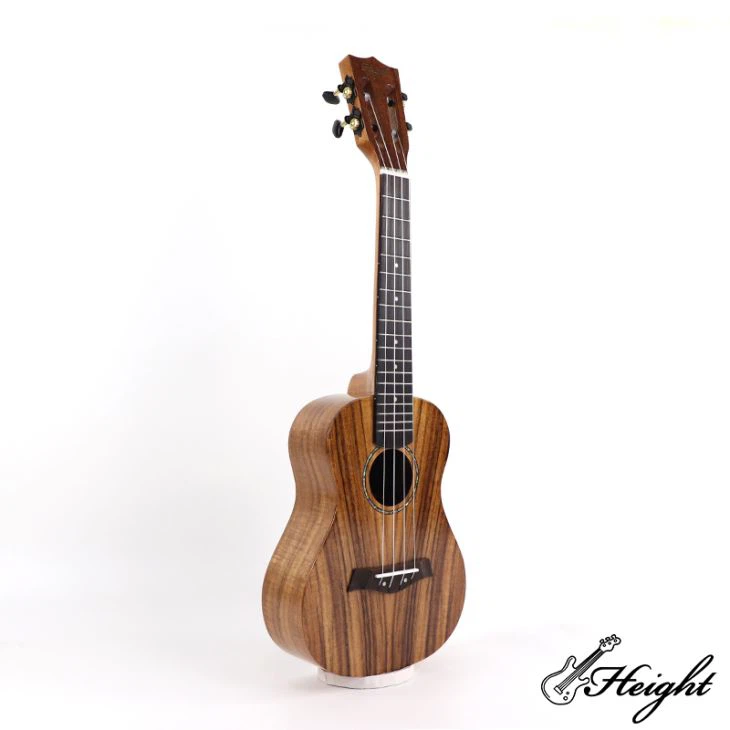 23 pulzier Kunċert Ukulele