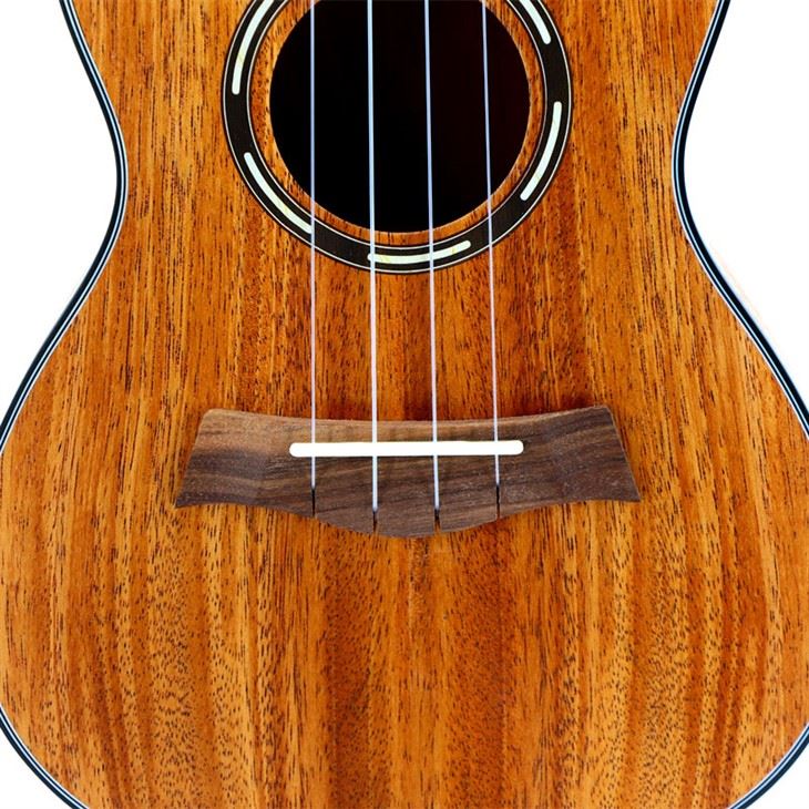 Solid Mahogany Wood Glossy Ukulele 23 Inch